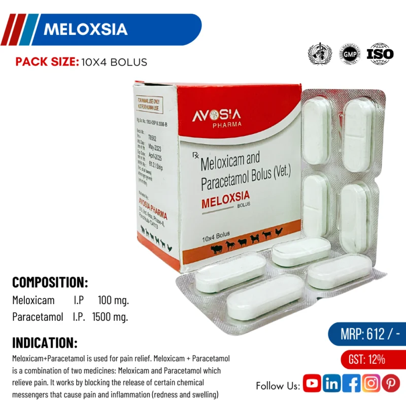 Meloxia