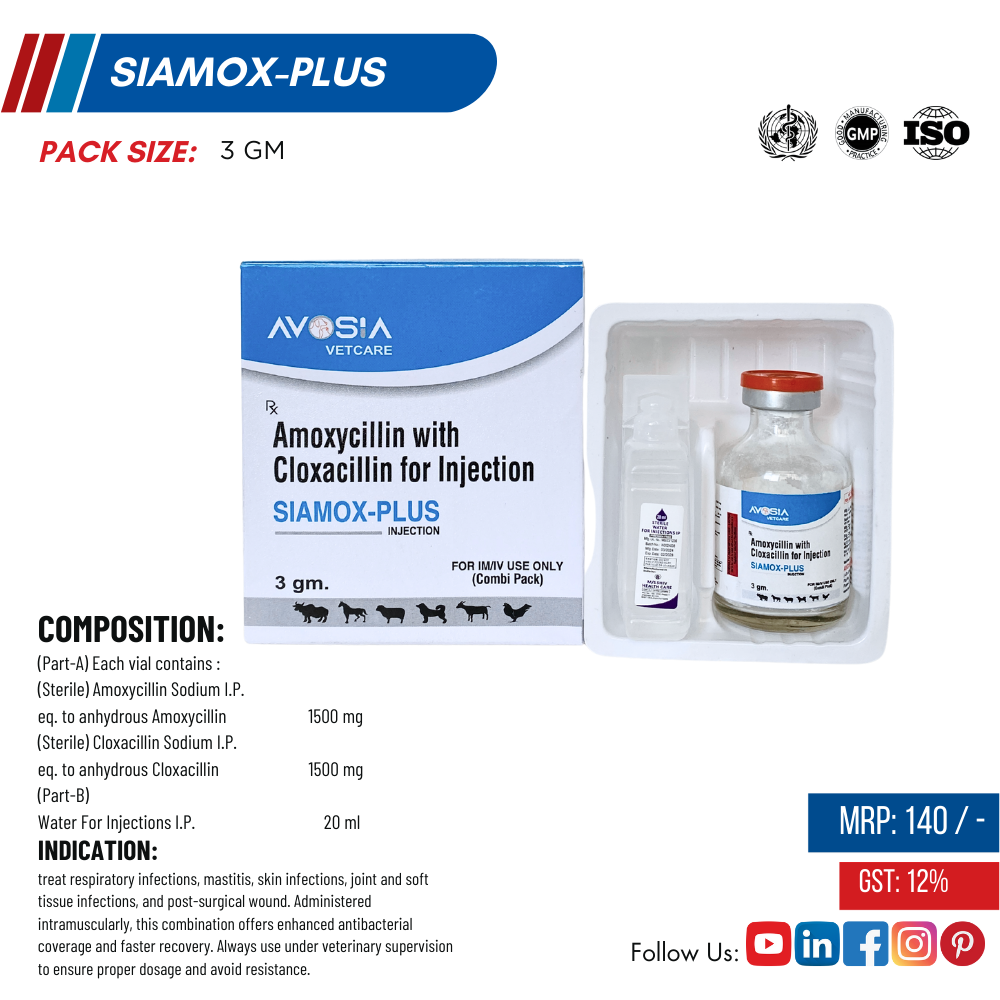 SIAMOX PLUS-3GM - AVOSIA VETCARE