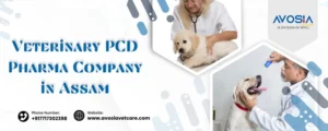 Veterinary PCD Pharma Company in Assam