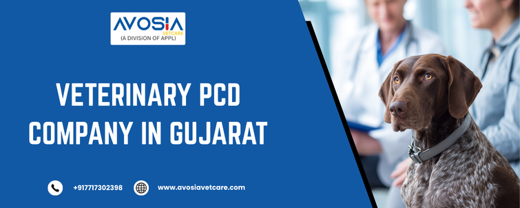 Veterinary PCD Company in Gujarat