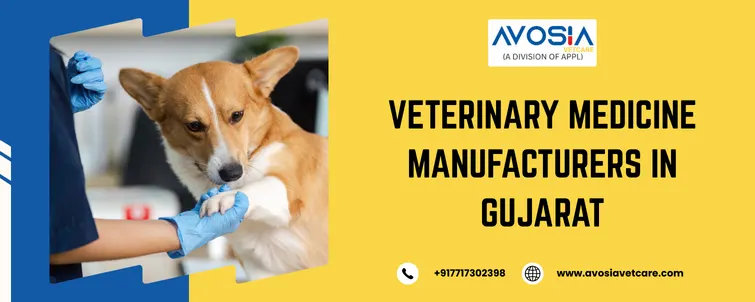 veterinary medicine manufacturers in Gujarat