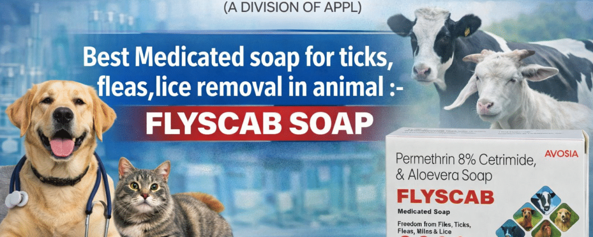 FLYSCAB Soap