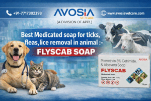 FLYSCAB Soap