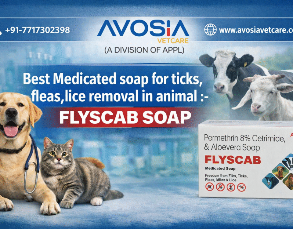 FLYSCAB Soap