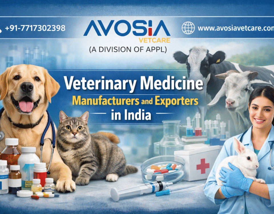 Veterinary Medicine Manufacturers and Exporters in India