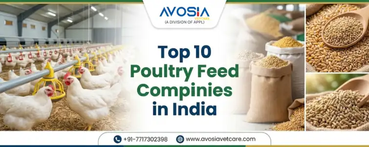 Top 10 Poultry Feed Companies in India
