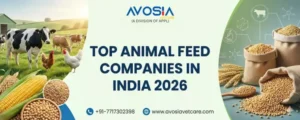 Top animal Feed Companies in India 2026