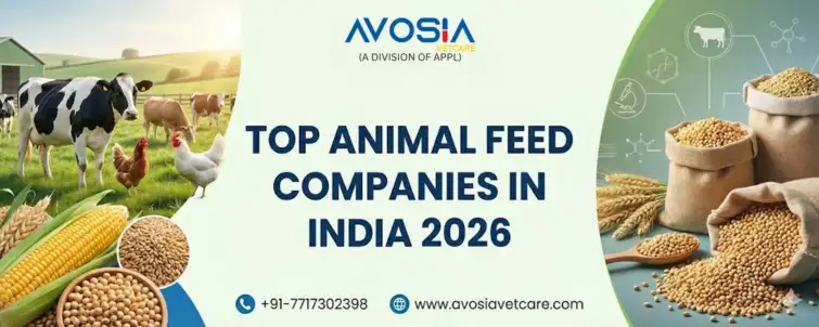 Top animal Feed Companies in India 2026