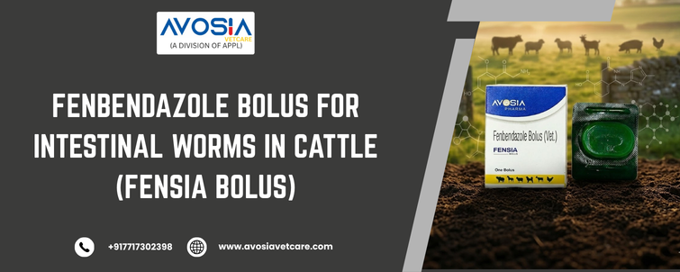 Fenbendazole Bolus For Intestinal Worms In Cattle - AVOSIA VETCARE
