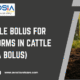 Fenbendazole Bolus For Intestinal Worms In Cattle