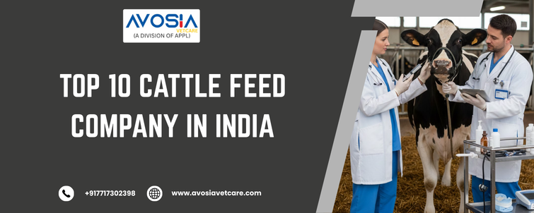 Top 10 Cattle Feed Company in India - AVOSIA VETCARE
