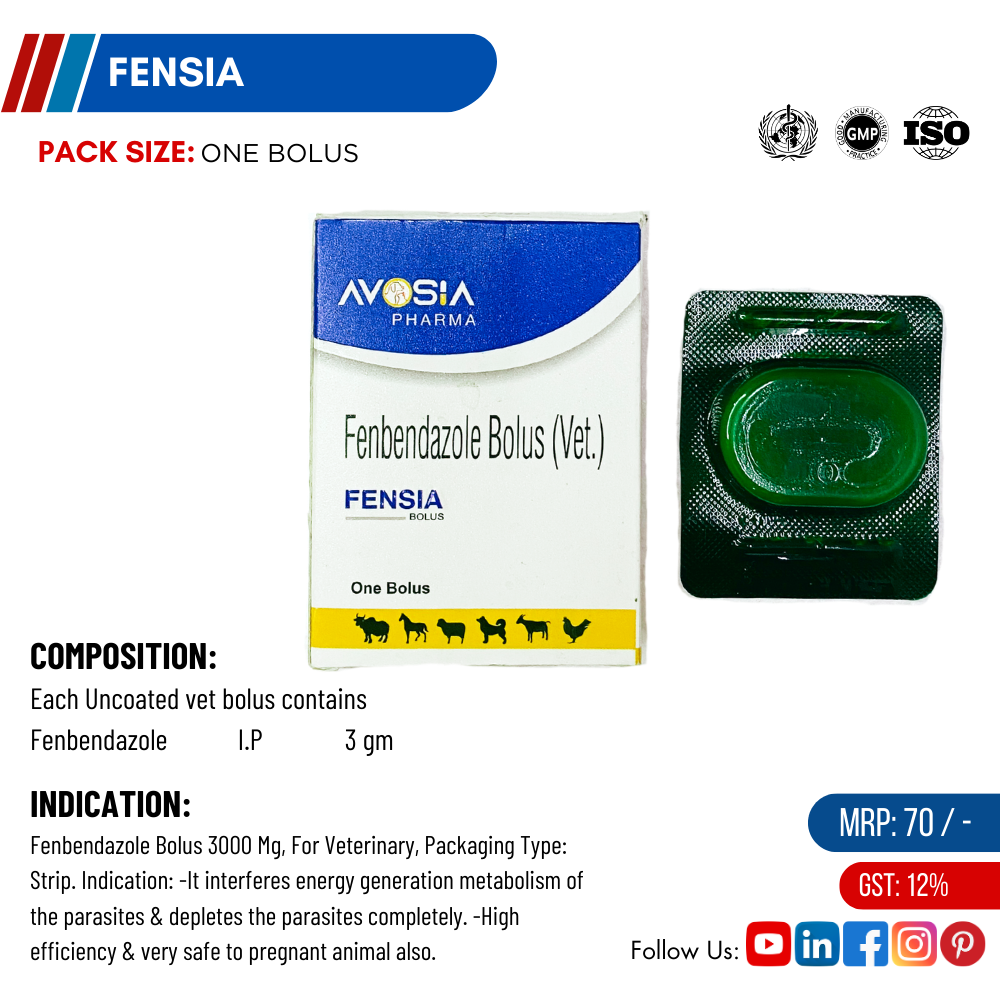 Fenbendazole Bolus For Intestinal Worms In Cattle - AVOSIA VETCARE