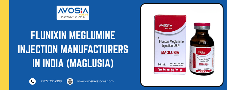 Flunixin Meglumine Injection Manufacturers in India